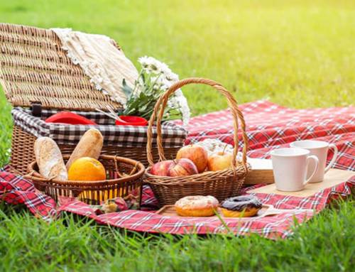 SUMMER PICNIC IN THE PARK – SEPTEMBER 17th, 1 to 5 pm, BOYCE PARK